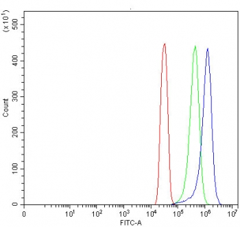 Flow cytometry testing of human SiHa cells with TMEM132A antibody at 1ug/million cells (blocked with goat sera); Red=cells alone, Green=isotype control, Blue= TMEM132A antibody.