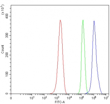 Flow cytometry testing of mouse ANA-1 cells with OGFr antibody at 1ug/million cells (blocked with goat sera); Red=cells alone, Green=isotype control, Blue= OGFr antibody.