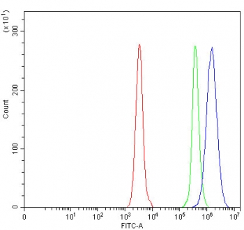 Flow cytometry testing of human Daudi cells with OGDH antibody at 1ug/million cells (blocked with goat sera); Red=cells alone, Green=isotype control, Blue= OGDH antibody.