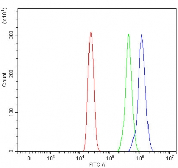 Flow cytometry testing of human HL60 cells with 4E-T antibody at 1ug/million cells (blocked with goat sera); Red=cells alone, Green=isotype control, Blue= 4E-T antibody.