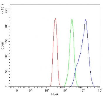 Flow cytometry testing of human SiHa cells with OLFML2B antibody at 1ug/million cells (blocked with goat sera); Red=cells alone, Green=isotype control, Blue= OLFML2B antibody.
