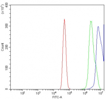 Flow cytometry testing of human A431 cells with MAFG antibody at 1ug/million cells (blocked with goat sera); Red=cells alone, Green=isotype control, Blue= MAFG antibody.