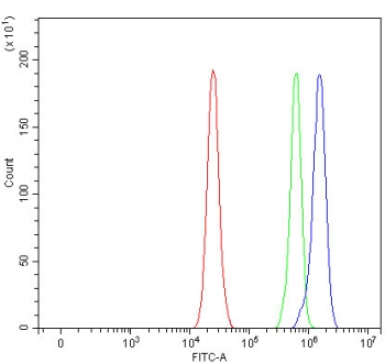 Flow cytometry testing of fixed and permeabilized human RT4 cells with PTP-MEG2 antibody at 1ug/million cells (blocked with goat sera); Red=cells alone, Green=isotype control, Blue= PTP-MEG2 antibody.