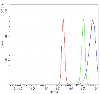 Flow cytometry testing of fixed and permeabilized human MCF7 cells with RUFY1 antibody at 1ug/million cells (blocked with goat sera); Red=cells alone, Green=isotype control, Blue= RUFY1 antibody.