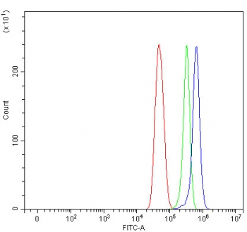 Flow cytometry testing of fixed and permeabilized human U-251 cells with NT5DC3 antibody at 1ug/million cells (blocked with goat sera); Red=cells alone, Green=isotype control, Blue= NT5DC3 antibody.