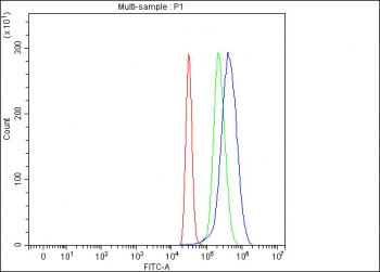 Flow cytometry testing of fixed and permeabilized human HepG2 cells with Alpha 1B-Glycoprotein antibody at 1ug/million cells (blocked with goat sera); Red=cells alone, Green=isotype control, Blue= Alpha 1B-Glycoprotein antibody.