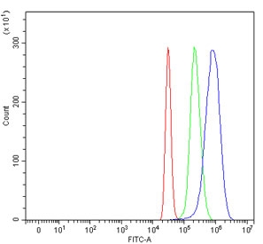 Flow cytometry testing of fixed and permeabilized human HepG2 cells with Lysozyme C antibody at 1ug/million cells (blocked with goat sera); Red=cells alone, Green=isotype control, Blue= Lysozyme C antibody.