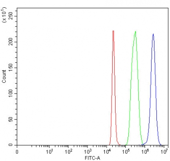 Flow cytometry testing of fixed and permeabilized human 293T cells with LONRF2 antibody at 1ug/million cells (blocked with goat sera); Red=cells alone, Green=isotype control, Blue= LONRF2 antibody.