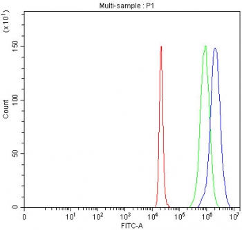 Flow cytometry testing of fixed and permeabilized human 293T cells with INO80B antibody at 1ug/million cells (blocked with goat sera); Red=cells alone, Green=isotype control, Blue= INO80B antibody.