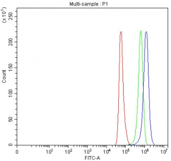 Flow cytometry testing of fixed and permeabilized human HeLa cells with ICAM5 antibody at 1ug/million cells (blocked with goat sera); Red=cells alone, Green=isotype control, Blue= ICAM5 antibody.