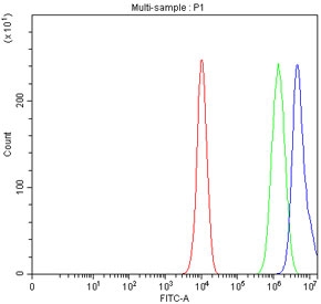 Flow cytometry testing of fixed and permeabilized human PC-3 cells with SIM2 antibody at 1ug/million cells (blocked with goat sera); Red=cells alone, Green=isotype control, Blue= SIM2 antibody.
