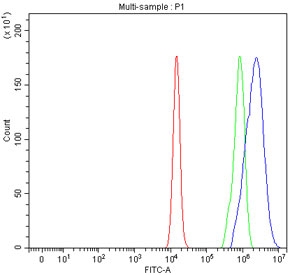 Flow cytometry testing of fixed human U-2 OS cells with Protocadherin alpha 12 antibody at 1ug/million cells (blocked with goat sera); Red=cells alone, Green=isotype control, Blue= Protocadherin alpha 12 antibody.