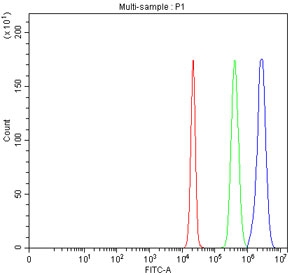 Flow cytometry testing of fixed human HepG2 cells with SLC26A9 antibody at 1ug/million cells (blocked with goat sera); Red=cells alone, Green=isotype control, Blue= SLC26A9 antibody.