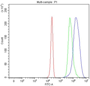 Flow cytometry testing of fixed and permeabilized human HepG2 cells with PIK3R4 antibody at 1ug/million cells (blocked with goat sera); Red=cells alone, Green=isotype control, Blue= PIK3R4 antibody.