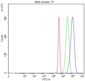 Flow cytometry testing of fixed human JK cells with PCDHGC3 antibody at 1ug/million cells (blocked with goat sera); Red=cells alone, Green=isotype control, Blue= PCDHGC3 antibody.