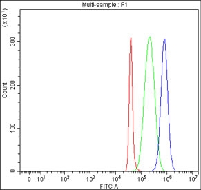 Flow cytometry testing of fixed and permeabilized human SH-SY5Y cells with Puratrophin 1 antibody at 1ug/million cells (blocked with goat sera); Red=cells alone, Green=isotype control, Blue= Puratrophin 1 antibody.