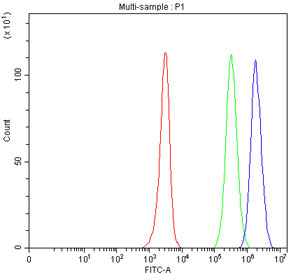 Flow cytometry testing of fixed human JK cells with CD127 antibody at 1ug/million cells (blocked with goat sera); Red=cells alone, Green=isotype control, Blue= CD127 antibody.
