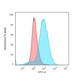 Flow cytometry staining of PFA-fixed human Jukat cells with CD28 antibody (clone CB28); Red=isotype control, Blue= CD28 antibody.