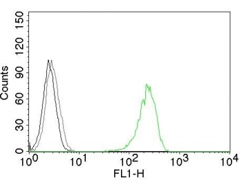 Flow cytometry testing of K562 cells with AF488 conjugated CD71 antibody (green, clone 66IG10), cells alone (black) and isotype control (gray).
