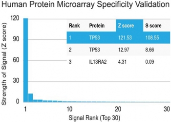 Protein array validation of the p53 antibody: Analysis of HuProt(TM) microarray containing more than 19,000 full-length human proteins using p53 antibody (clone PAb 122). Z- and S- score: The Z-score represents the strength of a signal that an antibody (in combination with a fluorescently-tagged anti-IgG secondary Ab) produces when binding to a particular protein on the HuProt(TM) array. Z-scores are described in units of standard deviations (SD's) above the mean value of all signals generated on that array. If the targets on the HuProt(TM) are arranged in descending order of the Z-score, the S-score is the difference (also in units of SD's) between the Z-scores. The S-score therefore represents the relative target specificity of an Ab to its intended target. 