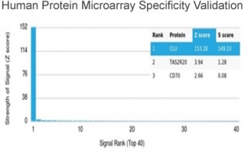 Analysis of HuProt(TM) microarray containing more than 19,000 full-length human proteins using Clusterin antibody (clone CLU/4721). These results demonstrate the foremost specificity of the CLU/4721 mAb. Z- and S- score: The Z-score represents the strength of a signal that an antibody (in combination with a fluorescently-tagged anti-IgG secondary Ab) produces when binding to a particular protein on the HuProt(TM) array. Z-scores are described in units of standard deviations (SD's) above the mean value of all signals generated on that array. If the targets on the HuProt(TM) are arranged in descending order of the Z-score, the S-score is the difference (also in units of SD's) between the Z-scores. The S-score therefore represents the relative target specificity of an Ab to its intended target.