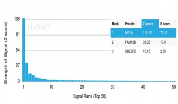 Analysis of a HuProt(TM) microarray containing more than 19,000 full-length human proteins using HIF1A antibody (clone HIF1A/3248). Z- and S- Score: The Z-score represents the strength of a signal that a monoclonal antibody (in combination with a fluorescently-tagged anti-IgG secondary antibody) produces when binding to a particular protein on the HuProt(TM) array. Z-scores are described in units of standard deviations (SD's) above the mean value of all signals generated on that array. If targets on HuProt(TM) are arranged in descending order of the Z-score, the S-score is the difference (also in units of SD's) between the Z-score. S-score therefore represents the relative target specificity of a mAb to its intended target. A mAb is considered to specific to its intended target, if the mAb has an S-score of at least 2.5. For example, if a mAb binds to protein X with a Z-score of 43 and to protein Y with a Z-score of 14, then the S-score for the binding of that mAb to protein X is equal to 29.