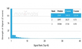 Analysis of a HuProt(TM) microarray containing more than 19,000 full-length human proteins using GFAP antibody (GFAP/6881). Z- and S- Score: The Z-score represents the strength of a signal that a monoclonal antibody (in combination with a fluorescently-tagged anti-IgG secondary antibody) produces when binding to a particular protein on the HuProt(TM) array. Z-scores are described in units of standard deviations (SD's) above the mean value of all signals generated on that array. If targets on HuProt(TM) are arranged in descending order of the Z-score, the S-score is the difference (also in units of SD's) between the Z-score. S-score therefore represents the relative target specificity of a mAb to its intended target. A mAb is considered to specific to its intended target, if the mAb has an S-score of at least 2.5. For example, if a mAb binds to protein X with a Z-score of 43 and to protein Y with a Z-score of 14, then the S-score for the binding of that mAb to protein X is equal to 29.