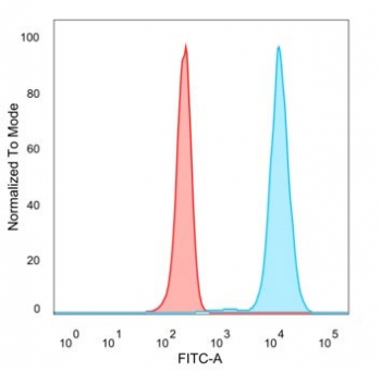Flow cytometry testing of PFA-fixed human HeLa cells with ZSCAN12 antibody (clone PCRP-ZSCAN12-2B2) followed by goat anti-mouse IgG-CF488 (blue), Red = unstained cells.