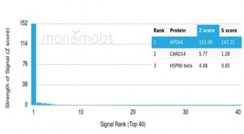Analysis of HuProt(TM) microarray containing more than 19,000 full-length human proteins using Apolipoprotein A4 antibody (clone APOA4/3654). These results demonstrate the foremost specificity of the APOA4/3654 mAb. Z- and S- Score: The Z-score represents the strength of a signal that a monoclonal antibody (clone MAb) (in combination with a fluorescently-tagged anti-IgG secondary antibody) produces when binding to a particular protein on the HuProt(TM) array. Z-scores are described in units of standard deviations (SD's) above the mean value of all signals generated on that array. If targets on HuProt(TM) are arranged in descending order of the Z-score, the S-score is the difference (also in units of SD's) between the Z-score. S-score therefore represents the relative target specificity of a MAb to its intended target. A MAb is considered to specific to its intended target, if the MAb has an S-score of at least 2.5. For example, if a MAb binds to protein X with a Z-score of 43 and to protein Y with a Z-score of 14, then the S-score for the binding of that MAb to protein X is equal to 29.