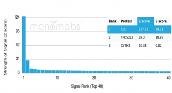 Analysis of HuProt(TM) microarray containing more than 19,000 full-length human proteins using Clusterin antibody (clone CLU/4736). These results demonstrate the foremost specificity of the CLU/4736 mAb. Z- and S- score: The Z-score represents the strength of a signal that an antibody (in combination with a fluorescently-tagged anti-IgG secondary Ab) produces when binding to a particular protein on the HuProt(TM) array. Z-scores are described in units of standard deviations (SD's) above the mean value of all signals generated on that array. If the targets on the HuProt(TM) are arranged in descending order of the Z-score, the S-score is the difference (also in units of SD's) between the Z-scores. The S-score therefore represents the relative target specificity of an Ab to its intended target.