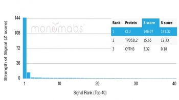 Analysis of HuProt(TM) microarray containing more than 19,000 full-length human proteins using Apolipoprotein J antibody (clone CLU/4737). These results demonstrate the foremost specificity of the CLU/4737 mAb. Z- and S- score: The Z-score represents the strength of a signal that an antibody (in combination with a fluorescently-tagged anti-IgG secondary Ab) produces when binding to a particular protein on the HuProt(TM) array. Z-scores are described in units of standard deviations (SD's) above the mean value of all signals generated on that array. If the targets on the HuProt(TM) are arranged in descending order of the Z-score, the S-score is the difference (also in units of SD's) between the Z-scores. The S-score therefore represents the relative target specificity of an Ab to its intended target.
