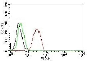 FACS testing of MCF-7 cells:  Black=cells alone; Green=isotype control; Red=Estrogen Receptor beta antibody