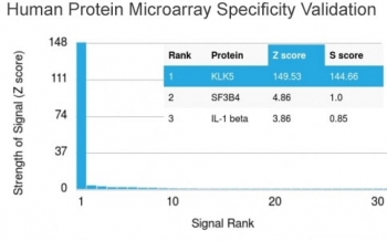 Analysis of HuProt(TM) microarray containing more than 19,000 full-length human proteins using KLK5 antibody (clone KLK5/3845). These results demonstrate the foremost specificity of the KLK5/3845 mAb. Z- and S- score: The Z-score represents the strength of a signal that an antibody (in combination with a fluorescently-tagged anti-IgG secondary Ab) produces when binding to a particular protein on the HuProt(TM) array. Z-scores are described in units of standard deviations (SD's) above the mean value of all signals generated on that array. If the targets on the HuProt(TM) are arranged in descending order of the Z-score, the S-score is the difference (also in units of SD's) between the Z-scores. The S-score therefore represents the relative target specificity of an Ab to its intended target.