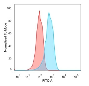 Flow cytometry testing of PFA-fixed human MCF7 cells with Estrogen Receptor beta 1 antibody (clone PPG5/10); Red=isotype control, Blue= Estrogen Receptor beta 1 antibody.