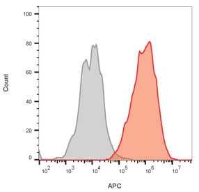 FACS staining of bead-bound exosomes derived from MCF-7 cells: Unstained exosomes (gray) and exosomes stained with CD63 antibody (orange, clone LAMP3/4949).