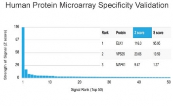 Analysis of HuProt(TM) microarray containing more than 19,000 full-length human proteins using ELK1 antibody (clone PCRP-ELK1-1B9). These results demonstrate the foremost specificity of the PCRP-ELK1-1B9 mAb. Z- and S- score: The Z-score represents the strength of a signal that an antibody (in combination with a fluorescently-tagged anti-IgG secondary Ab) produces when binding to a particular protein on the HuProt(TM) array. Z-scores are described in units of standard deviations (SD's) above the mean value of all signals generated on that array. If the targets on the HuProt(TM) are arranged in descending order of the Z-score, the S-score is the difference (also in units of SD's) between the Z-scores. The S-score therefore represents the relative target specificity of an Ab to its intended target.