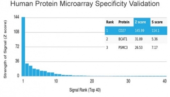 Analysis of HuProt(TM) microarray containing more than 19,000 full-length human proteins using CD27 antibody (clone LPFS2/4176). These results demonstrate the foremost specificity of the LPFS2/4176 mAb. Z- and S- score: The Z-score represents the strength of a signal that an antibody (in combination with a fluorescently-tagged anti-IgG secondary Ab) produces when binding to a particular protein on the HuProt(TM) array. Z-scores are described in units of standard deviations (SD's) above the mean value of all signals generated on that array. If the targets on the HuProt(TM) are arranged in descending order of the Z-score, the S-score is the difference (also in units of SD's) between the Z-scores. The S-score therefore represents the relative target specificity of an Ab to its intended target.